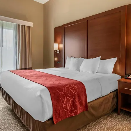 Comfort Suites Manheim - Lancaster-2