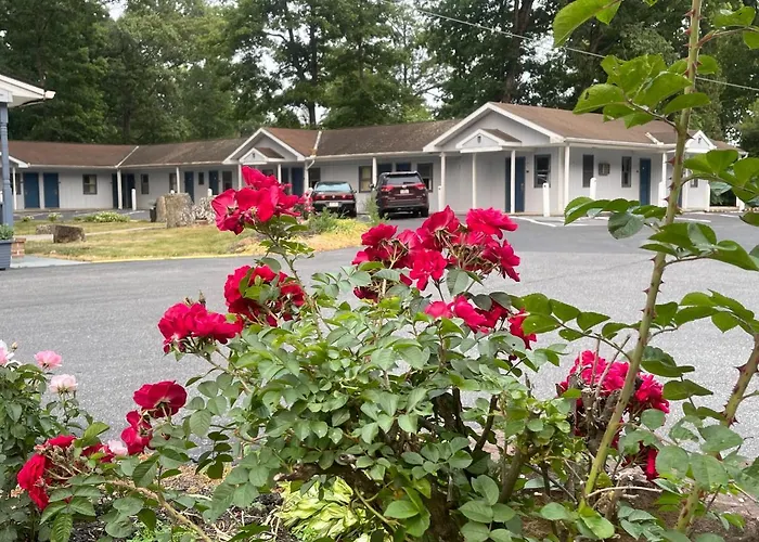 Hotel: Pennswoods Inn